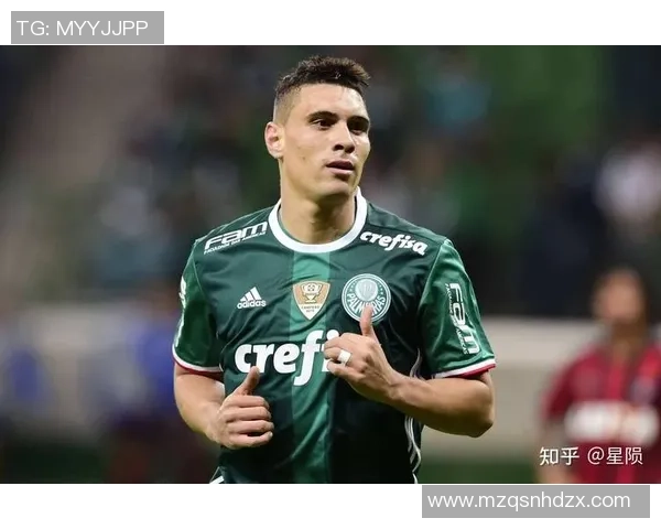 帕尔梅拉斯与维多利亚的较量比分预测分析及赛前展望