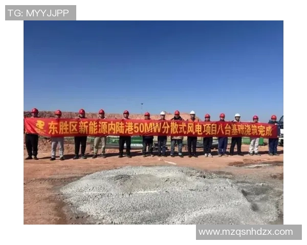 聆达股份投资9000万元推动格尔木神光50MW光伏电站技术改造项目 聆达股份投资9000万元推动格尔木神光50MW光伏电站技术改造项目